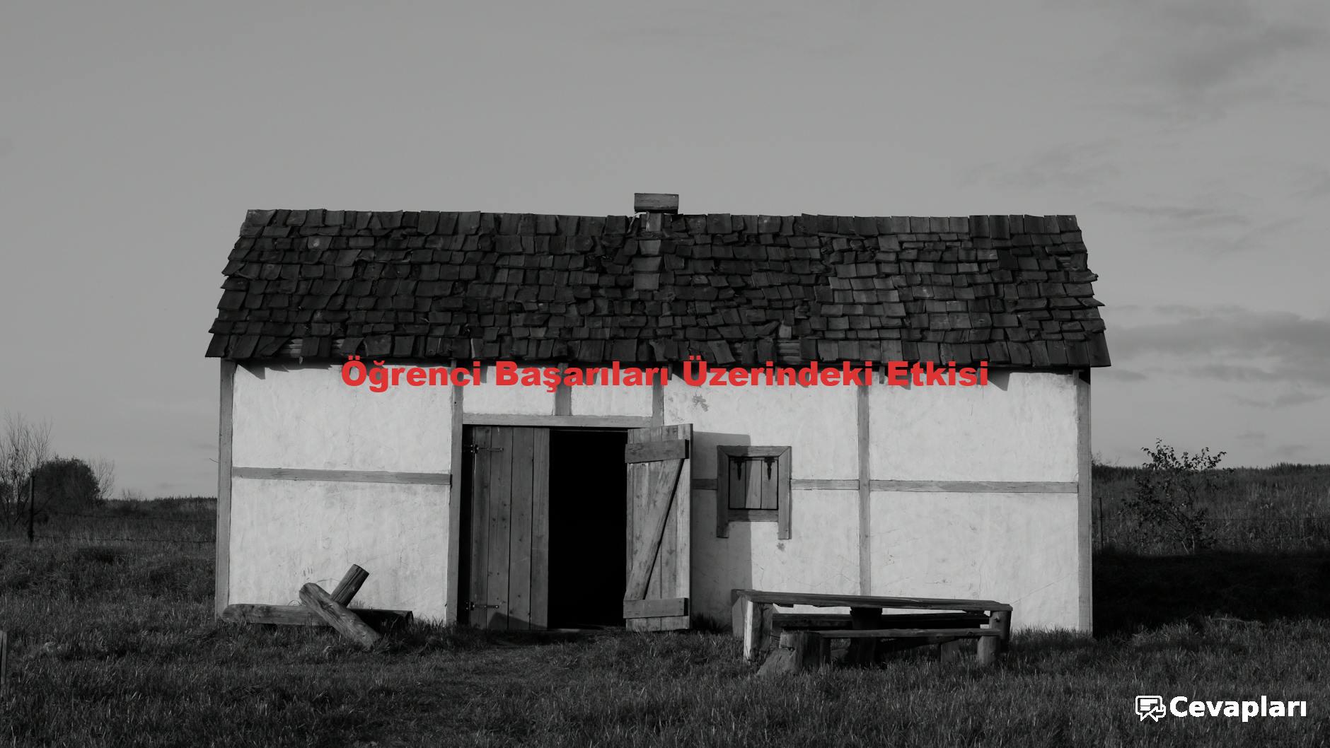 10-sinif-ing-calisma-kitabi-cevaplari-0-ZOkiDJdD 10 Sınıf İng Çalışma Kitabı Cevapları