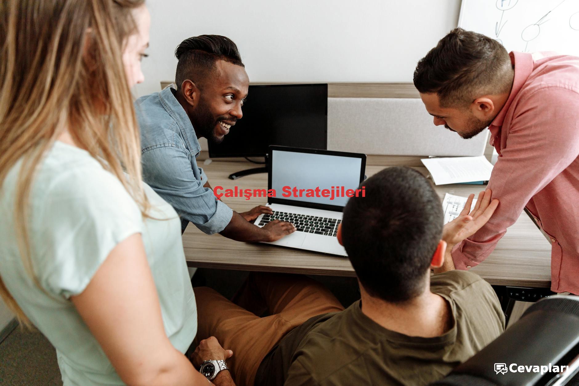 11-sinif-ingilizce-calisma-kitabi-cevaplari-0-UGvknL4b 11 Sınıf İngilizce Çalışma Kitabı Cevapları