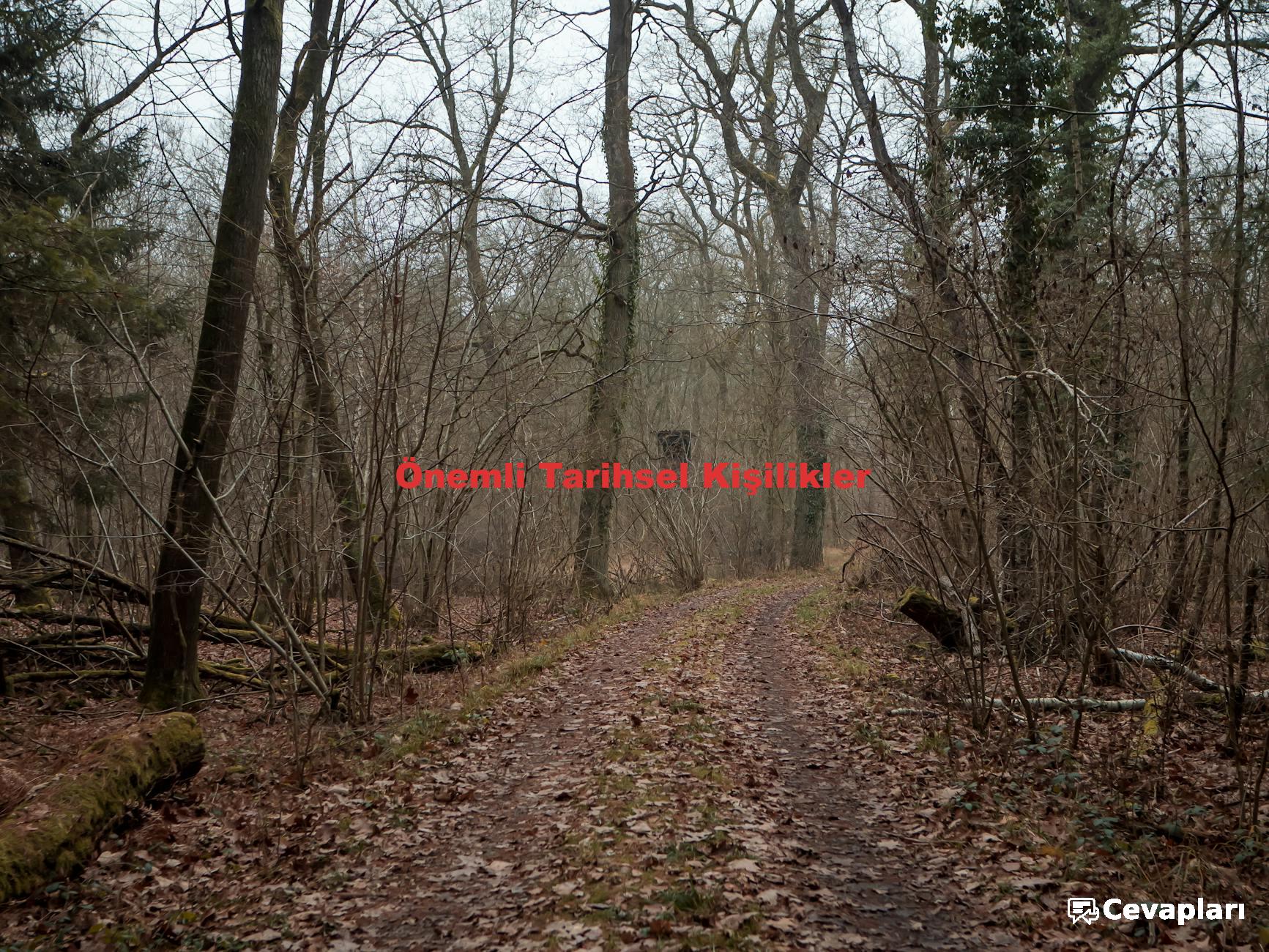 11-sinif-tarih-ders-kitabi-cevaplari-0-q6VcaQ7C 11 Sınıf Tarih Ders Kitabı Cevapları