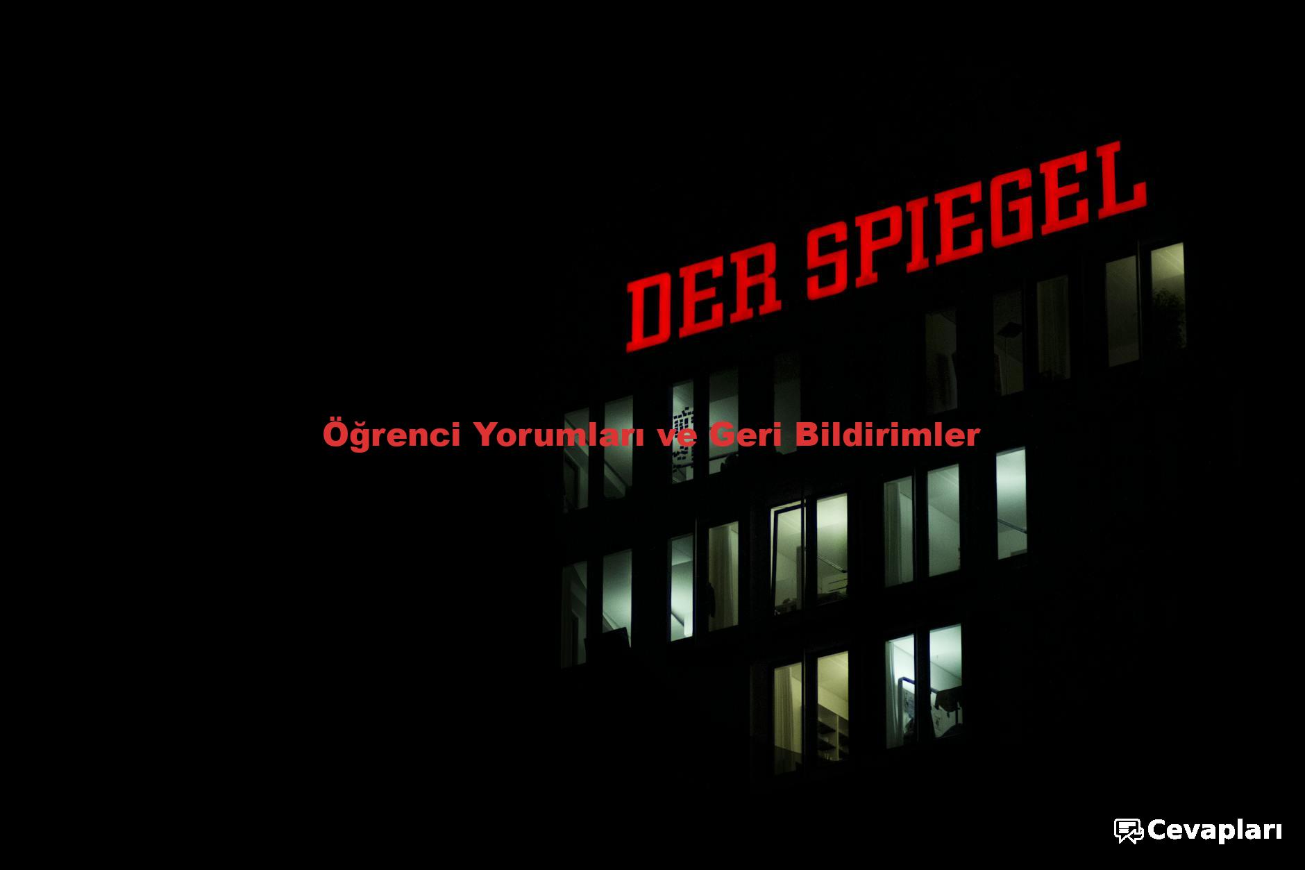 12-sinif-ingilizce-ders-kitabi-cevaplari-0-QF1HBD7y 12 Sınıf İngilizce Ders Kitabı Cevapları