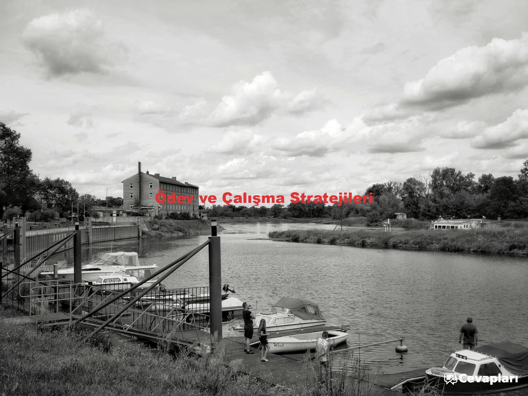 12-sinif-ingilizce-ders-kitabinin-cevaplari-0-fyAyOwOb 12 Sınıf İngilizce Ders Kitabının Cevapları