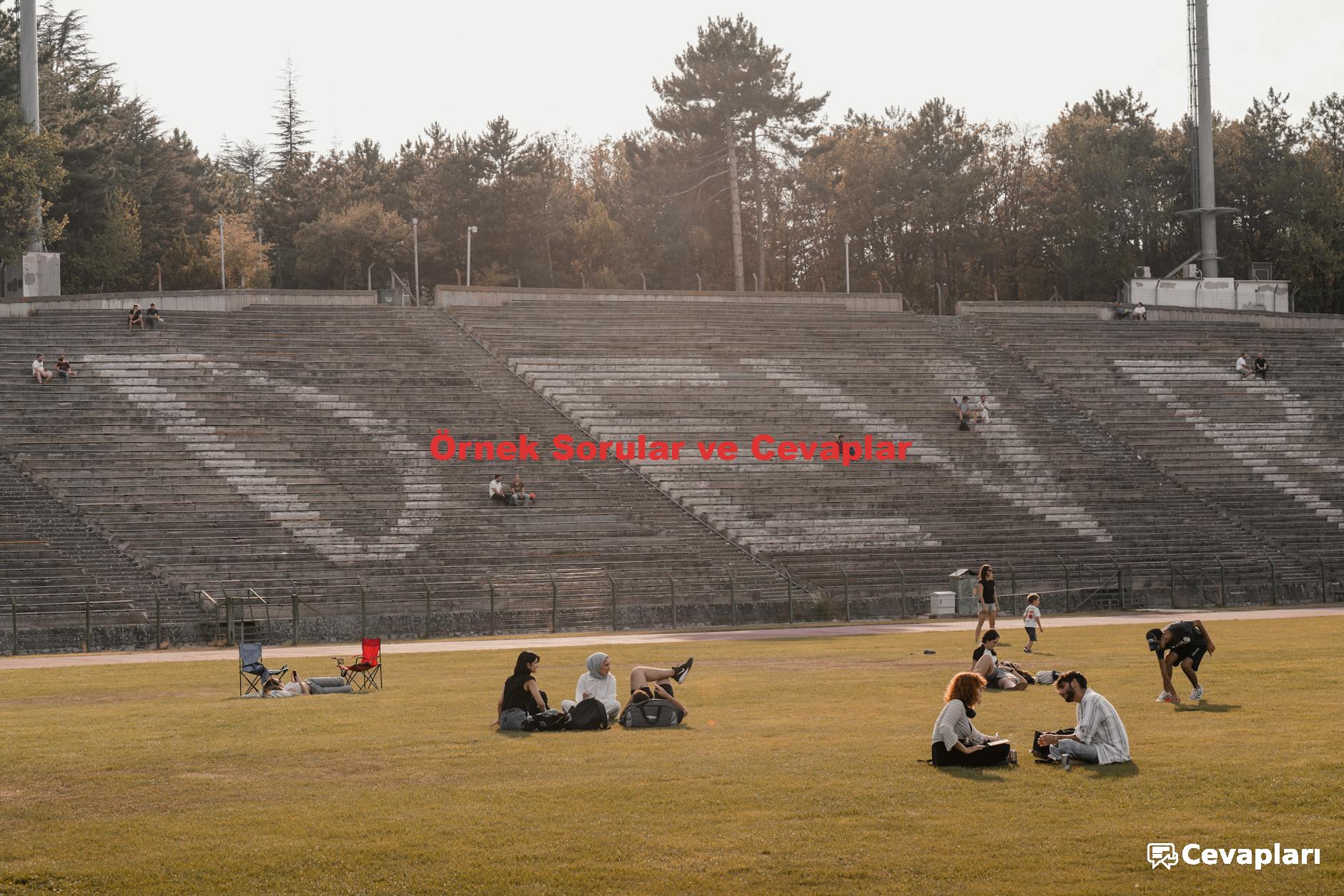 4-sinif-sosyal-bilgiler-ders-kitabi-cevaplari-0-zqHRMTeE 4 Sınıf Sosyal Bilgiler Ders Kitabı Cevapları