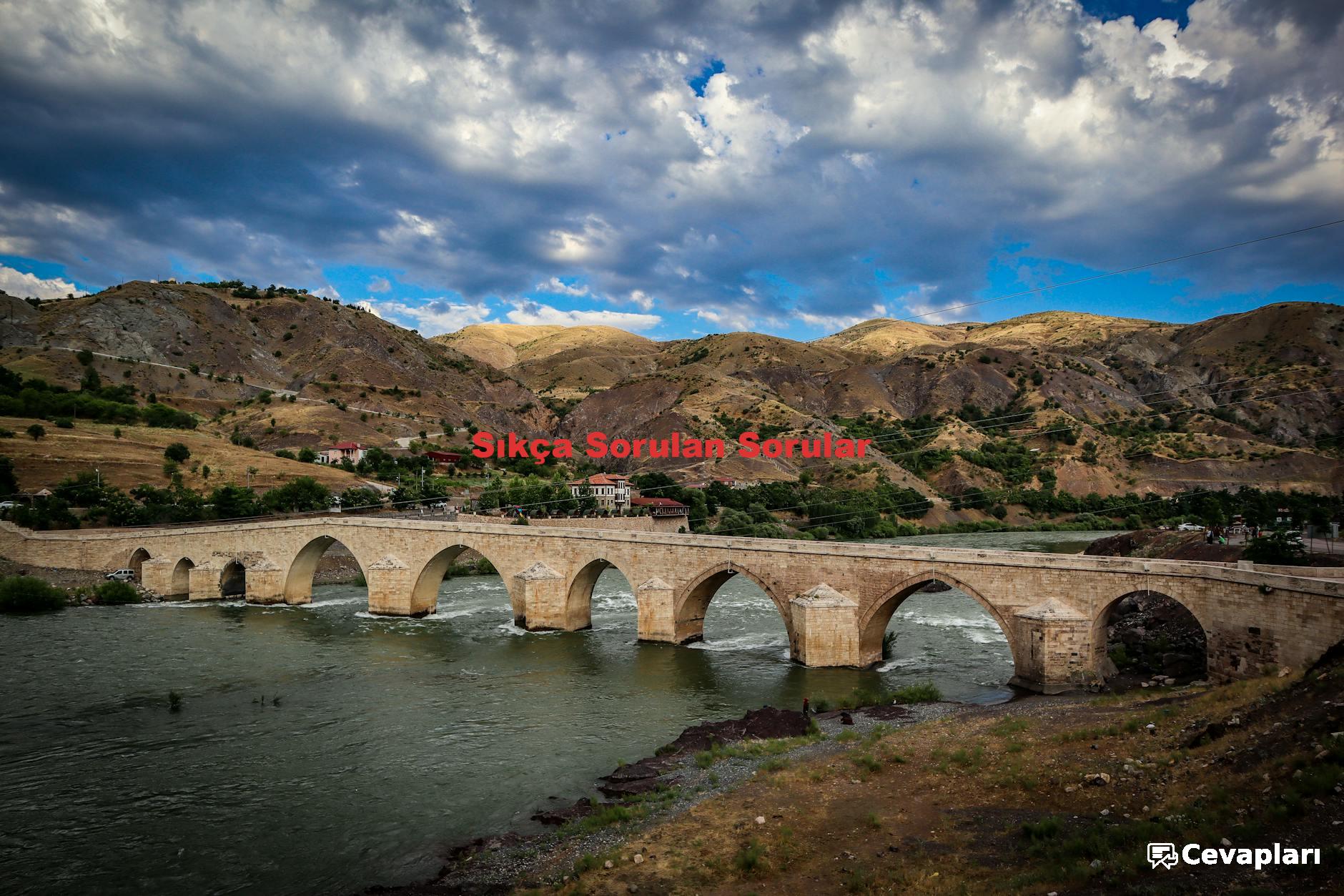 8-sinif-inkilap-ders-kitabi-cevaplari-0-1UuNXgmV 8. Sınıf İnkılap Ders Kitabı Cevapları