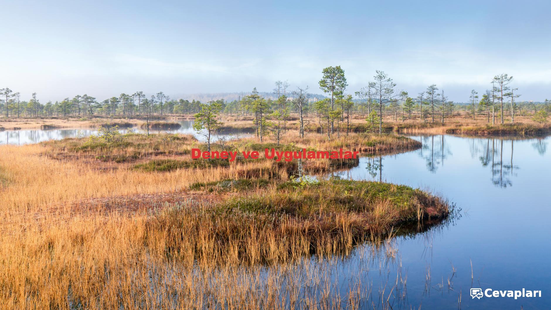 9-sinif-fizik-kitabi-cevaplari-0-vGlexWC3 9 Sınıf Fizik Kitabı Cevapları