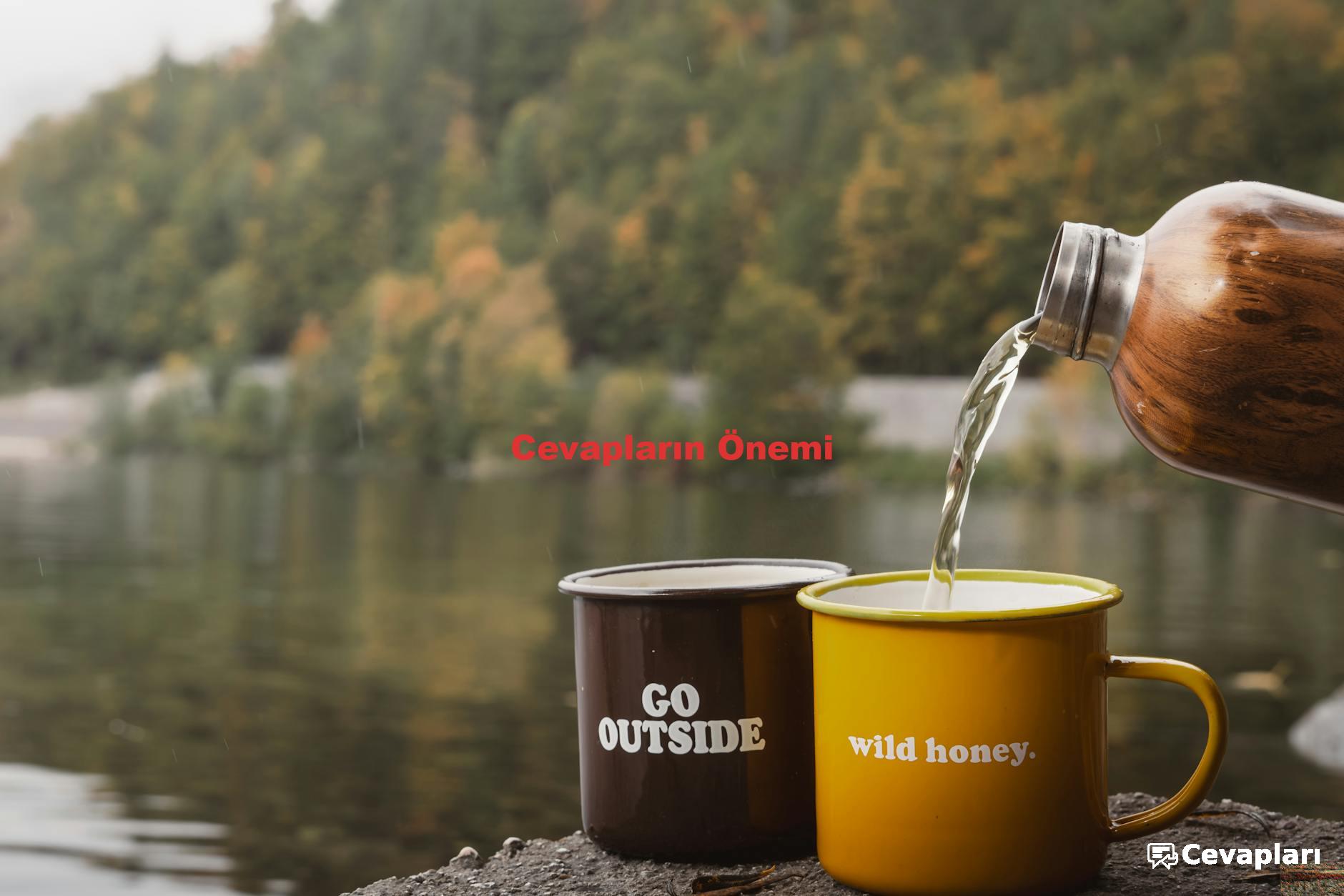 edebiyat-10-sinif-ders-kitabi-cevaplari-0-g8qmrCvp Edebiyat 10 Sınıf Ders Kitabı Cevapları