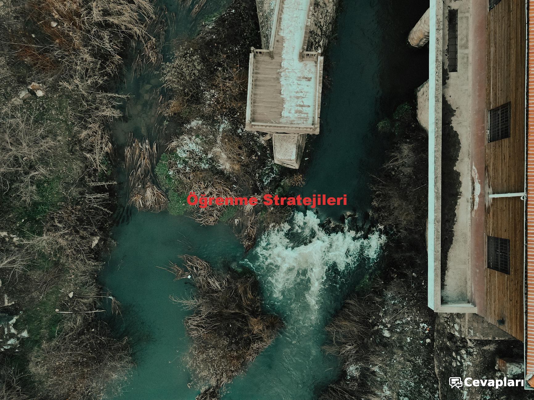 ingilizce-7-sinif-ders-kitabi-cevaplari-0-mpL7rpiA İngilizce 7. Sınıf Ders Kitabı Cevapları