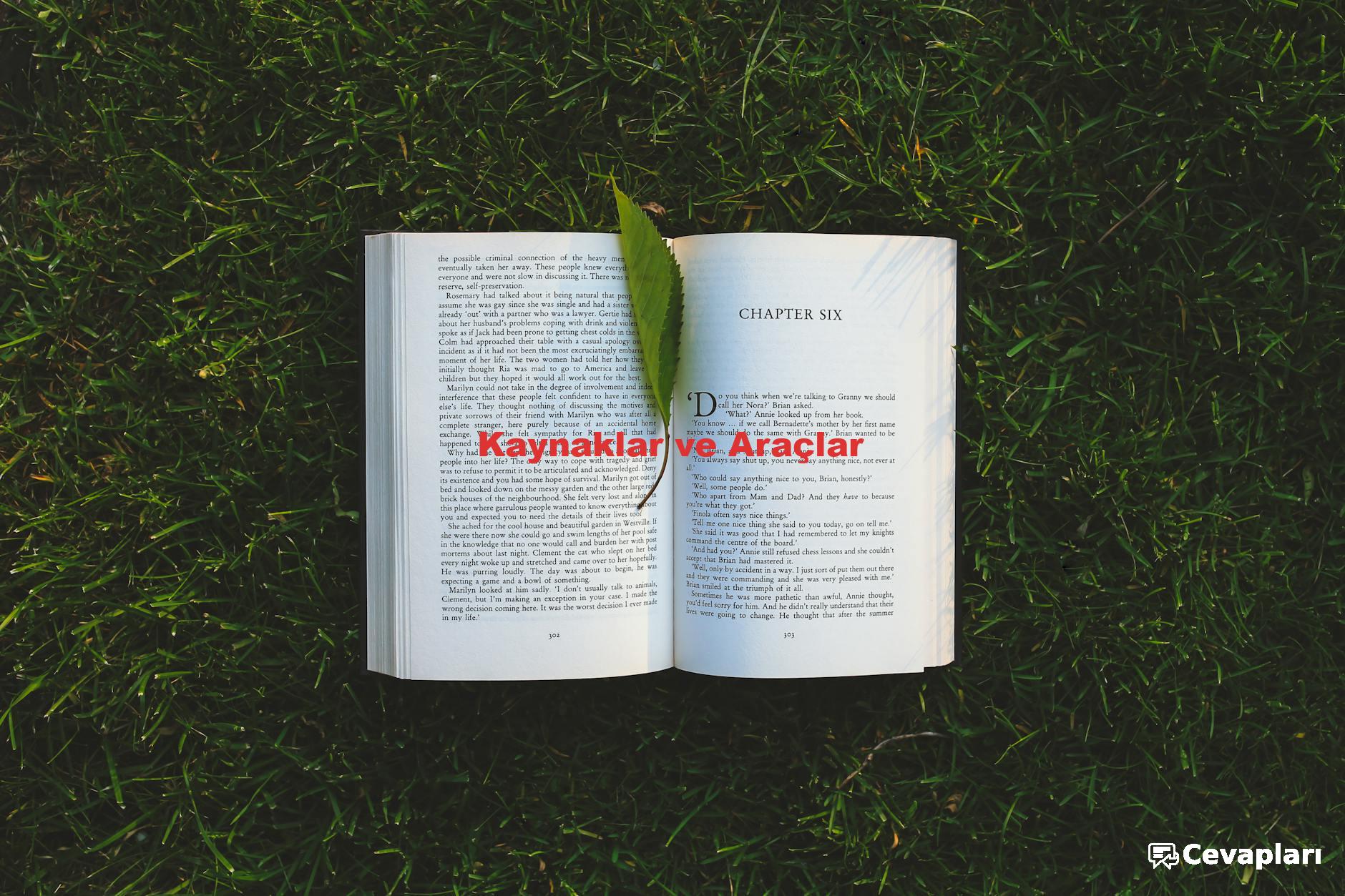 ingilizce-ders-kitabi-cevaplari-0-2QgpyZOk İngilizce Ders Kitabı Cevapları